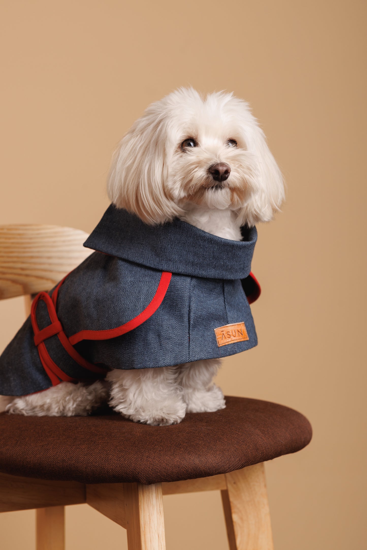 Denim Dog Coat