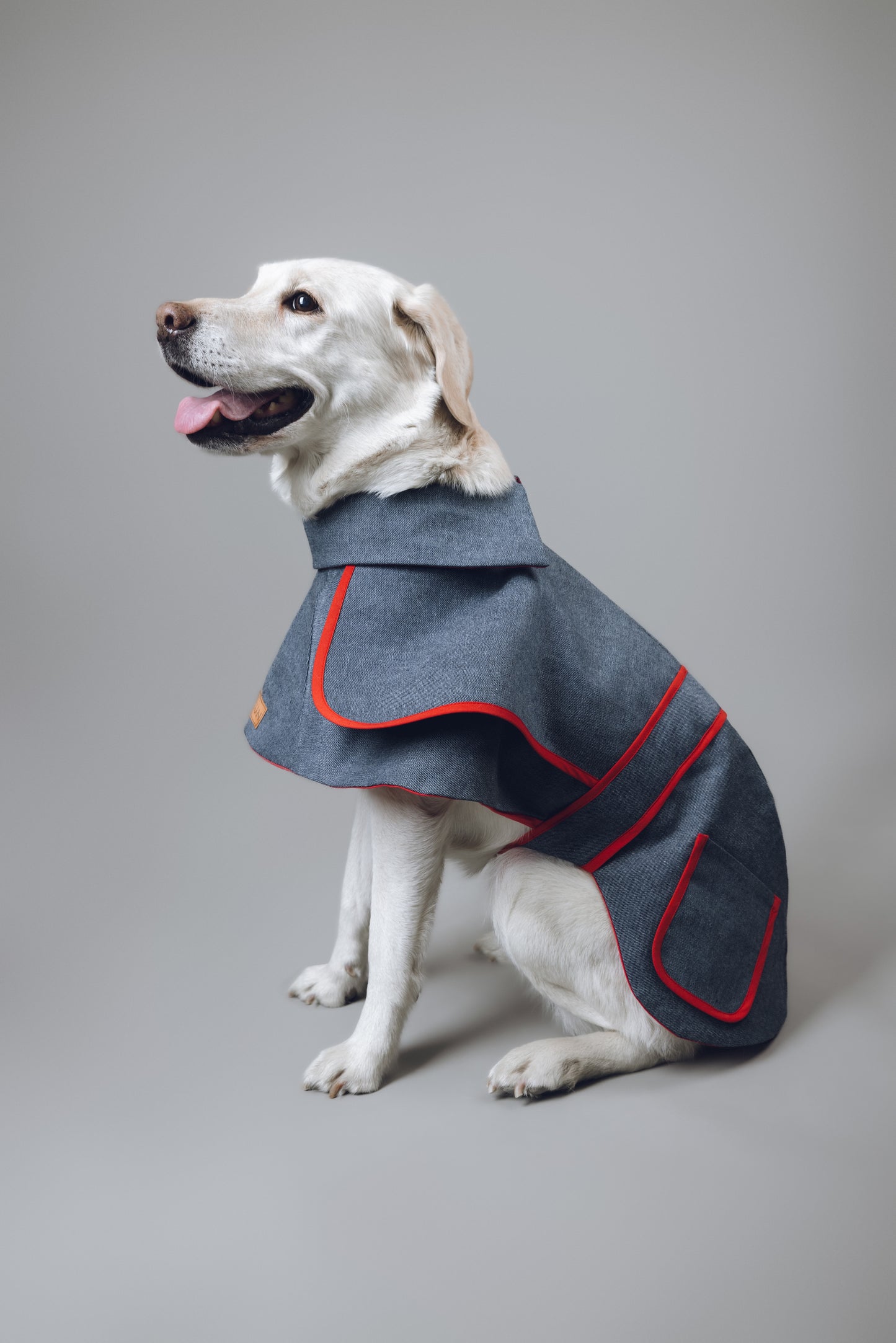 Denim Dog Coat