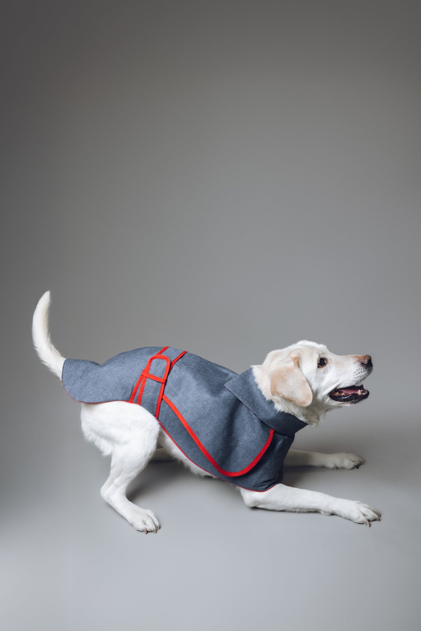 Denim Dog Coat