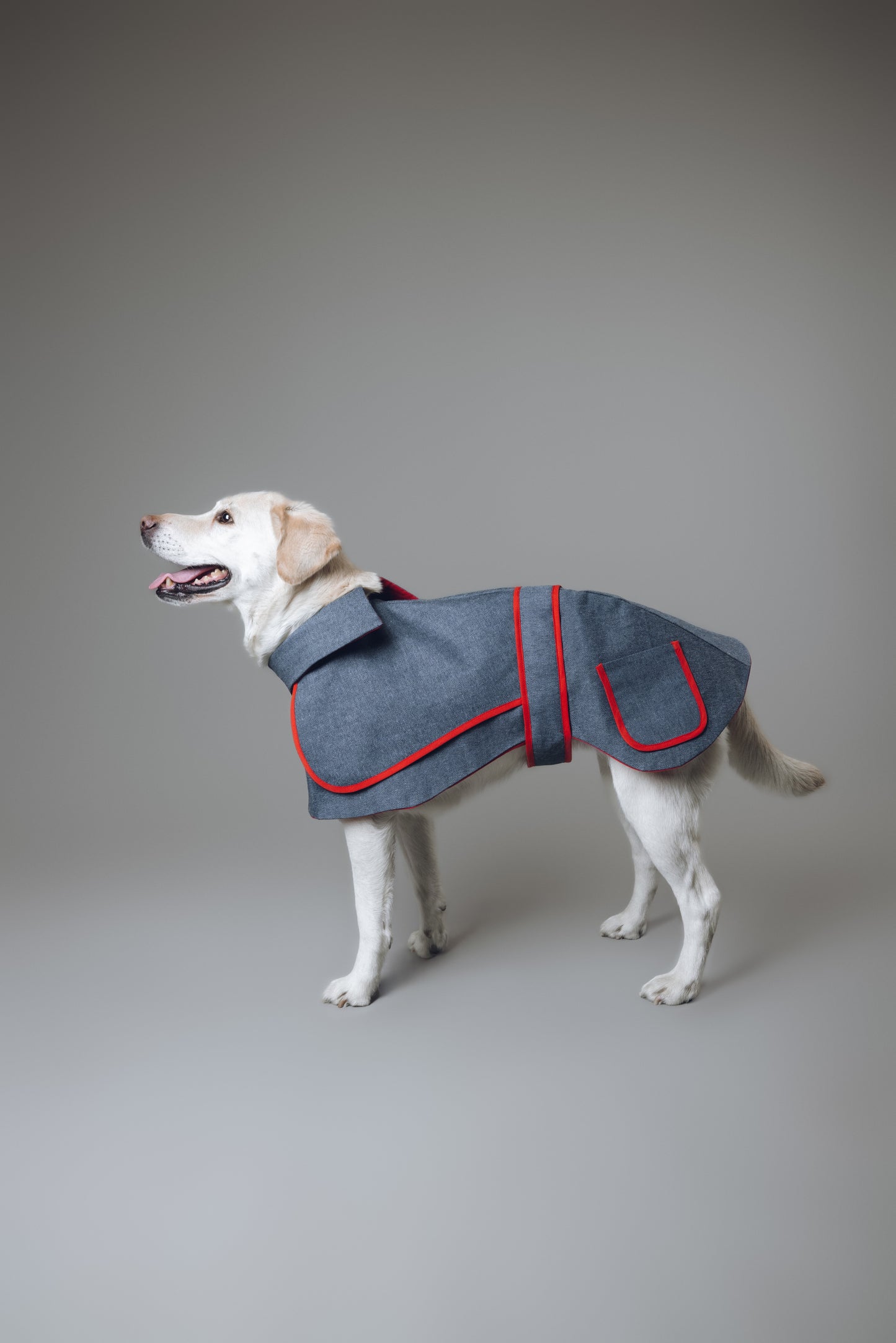 Denim Dog Coat